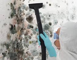 Best Asbestos and Lead Testing During Mold Inspection  in Rose Hills, CA